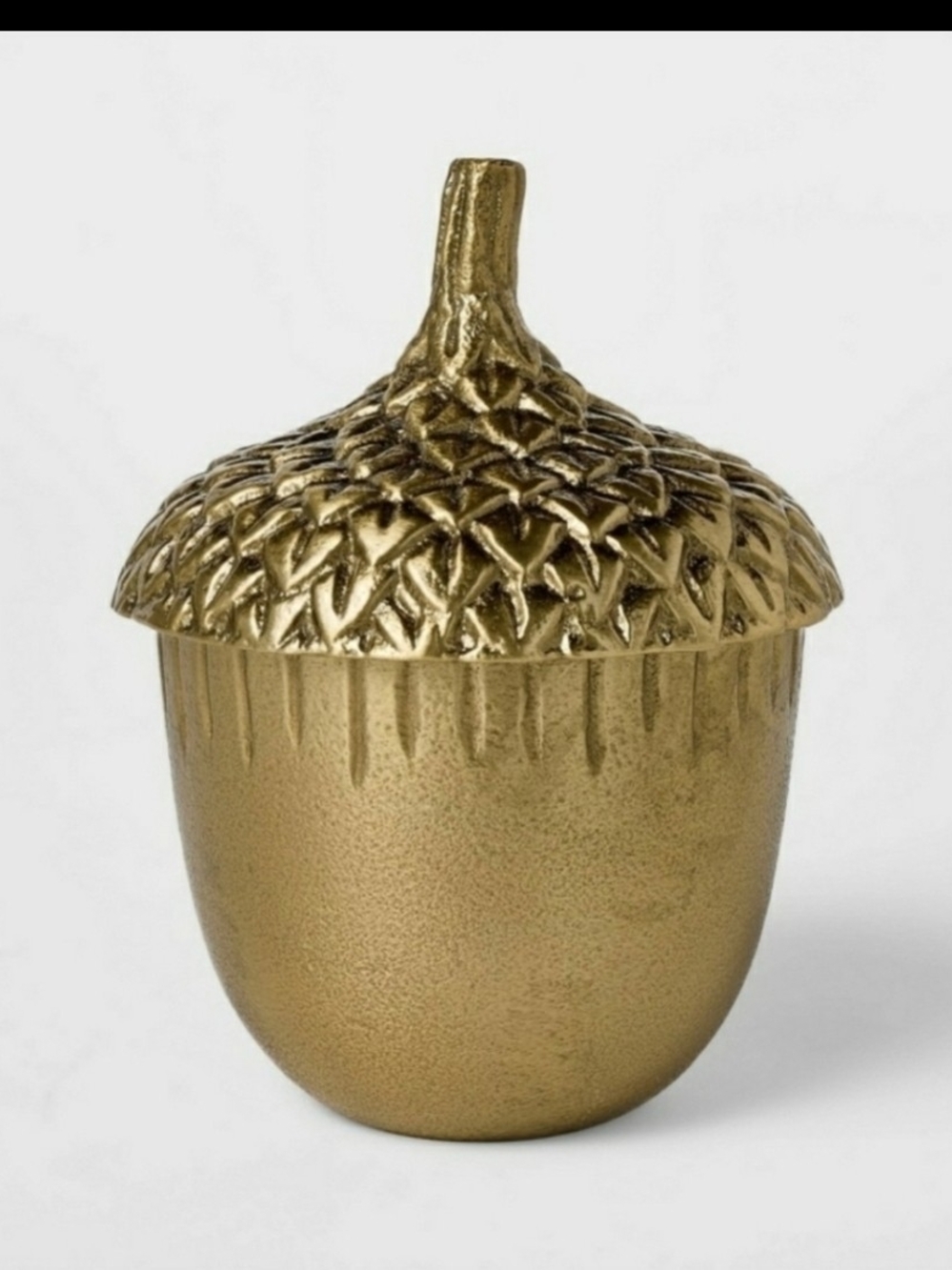 Cast Metal Acorn Canister - Threshold™ designed with Studio McGee